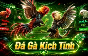 Sảnh đá gà phonexfashion